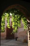 Generalife