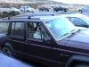 Dog in Car